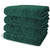 Terry Velour 100% Cotton Beach Towels 32 x 64 Inches (Case of 24)