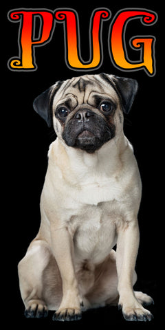 12 Pug Velour Towel 30 x 60 Inch #063-PG