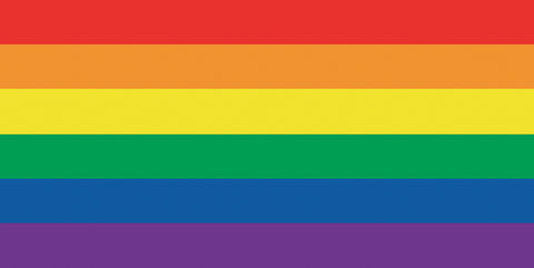12 Rainbow Flag Velour Beach Towel 30 x 60 Inch #089A