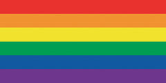 12 Rainbow Flag Velour Beach Towel 30 x 60 Inch #089A