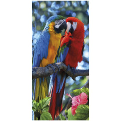 Macaw 100% Cotton Velour Beach Towels 30"x 60" (Case of 12)