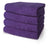 24 Terry Velour 100% Cotton Beach Towels 32 x 64 Inches