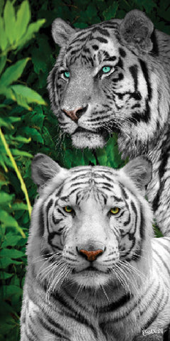 12 Jungle Tigers Beach Towel 30 x 60 #0074